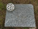 image of grave number 315929